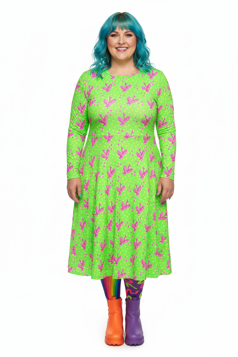 Long Sleeve Pocket Flare Dress - 'Silly Goose'